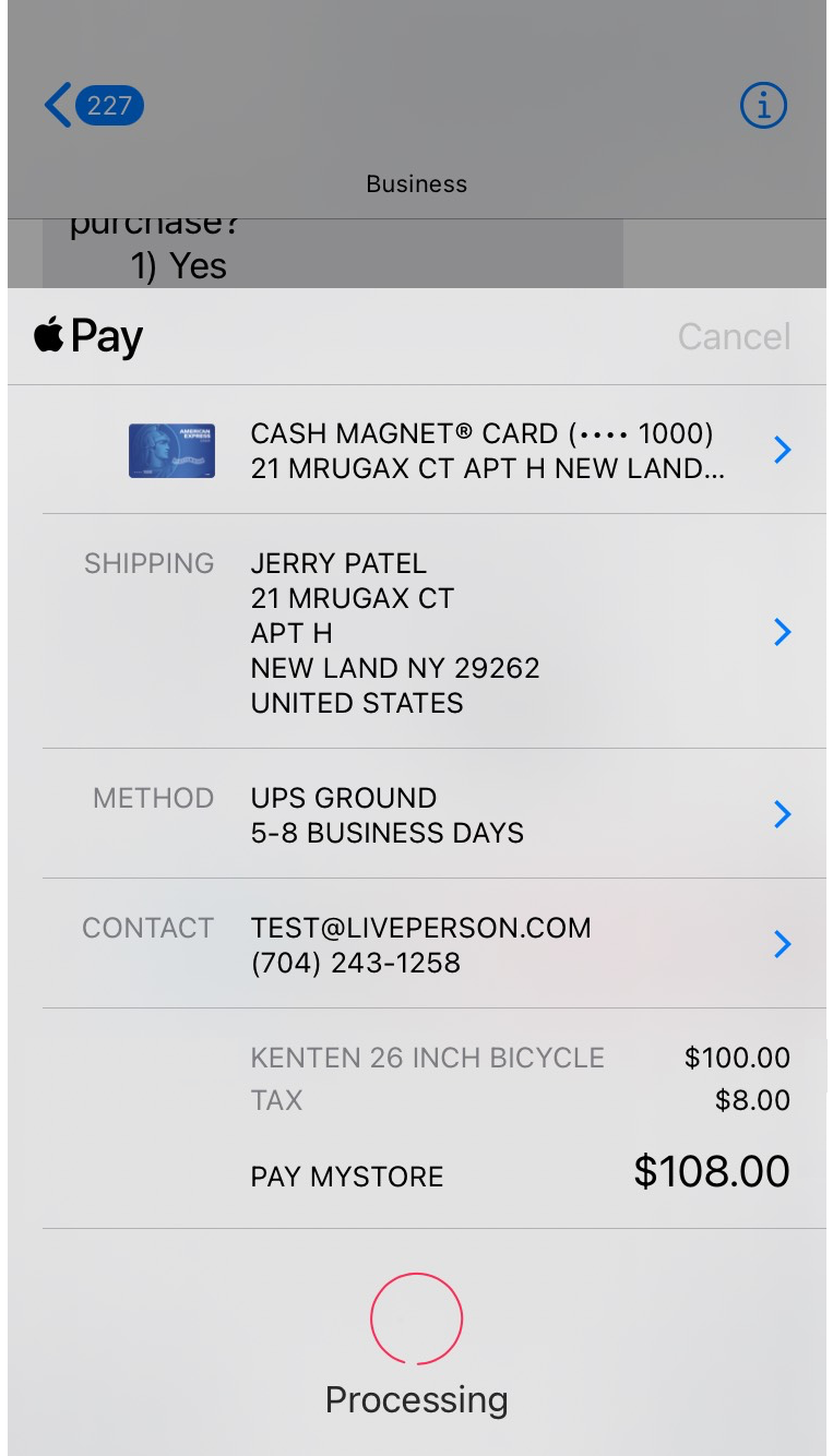 A second example of using Apple Pay in a conversation