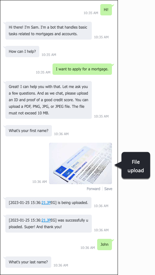 An example of a consumer conversing with a bot, where the consumer uploads a file