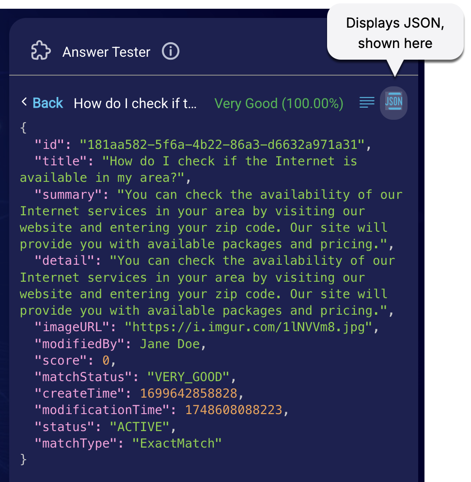 The section of the testing tool that displays the JSON for a matched article