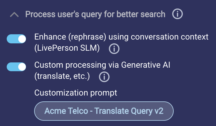 The section of the testing tool that makes available options for processing the user's query for better search results