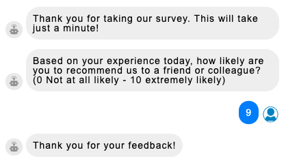 An example survey as seen in the Preview tool