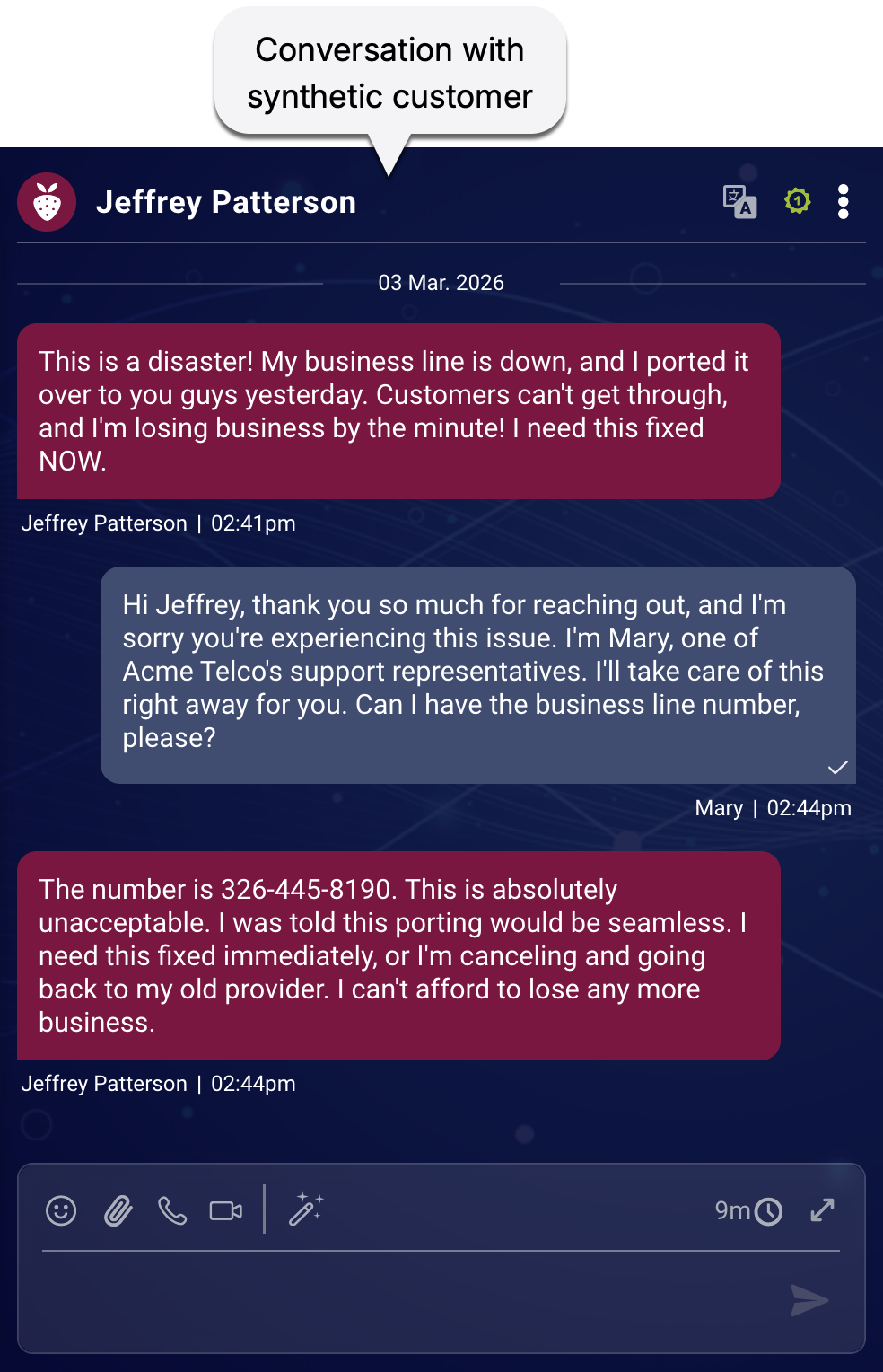 An example conversation with a synthetic customer